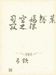 司空嫣然叶凡孤寂之狼