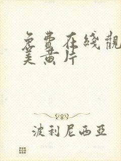 免费在线观看欧美黄片