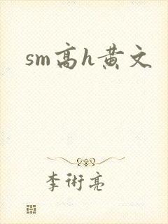 sm高h黄文