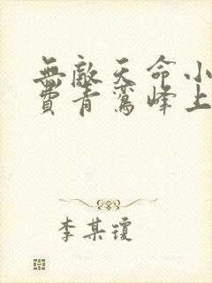 无敌天命小说免费青鸾峰上封面