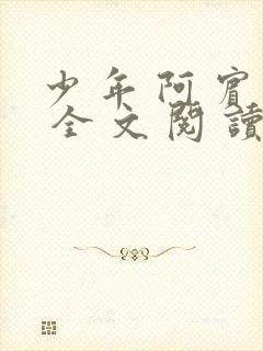 少 年 阿 宾 全 文 阅 读目录