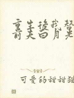 重生后我替掉了前夫白月光手机版封面