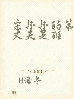 宋丹丹的第二任丈夫是谁