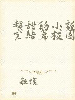 超甜的小说推荐完结篇校园