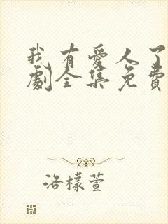 我有爱人了电视剧全集免费观看封面