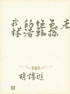 我的绝色老板娘林浩韩总