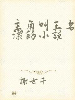 主角叫王名浩李洁的小说