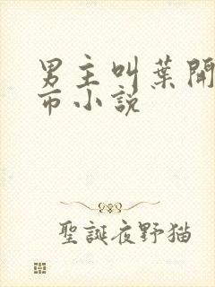 男主叫叶开的都市小说