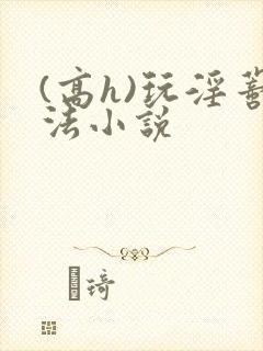 (高h)玩淫蒂法小说