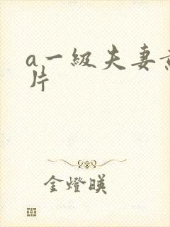 a一级夫妻黄色片