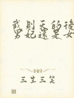 武则天的后宫是男妃还是女妃