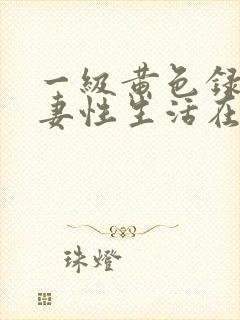 一级黄色录像夫妻性生活在线观看