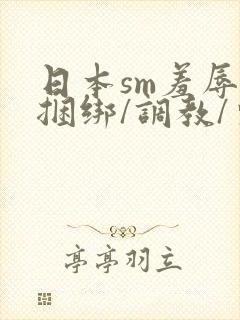 日本sm羞辱/捆绑/调教/束缚视频6