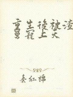 重生后被渣男舅舅宠上天