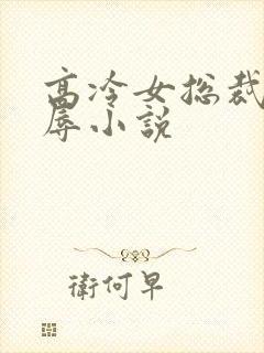 高冷女总裁的屈辱小说封面