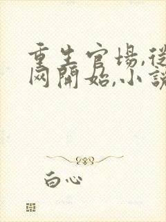 重生官场,从落网开始,小说