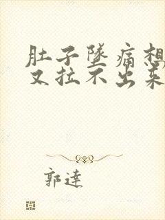 肚子坠痛想大便又拉不出来