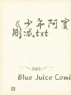 《少年阿宾》无删减txt