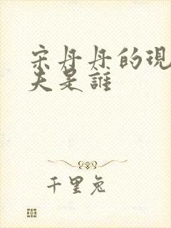 宋丹丹的现任丈夫是谁