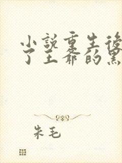 小说重生后我成了王爷的黑月光免费