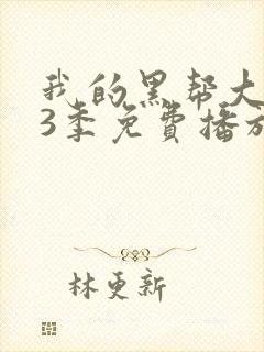 我的黑帮大佬第3季免费播放电视剧