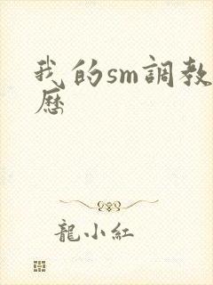 我的sm调教经历封面