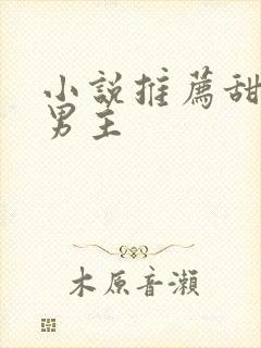 小说推荐甜宠双男主