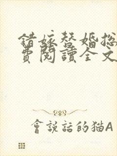 错嫁替婚总裁免费阅读全文