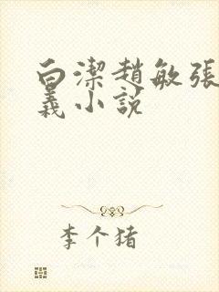 白洁赵敏张倩高义小说