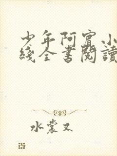 少年阿宾小说在线全书阅读无弹窗免费