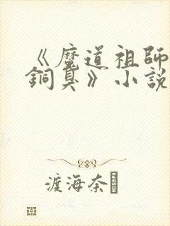 《魔道祖师墨香铜臭》小说阅读