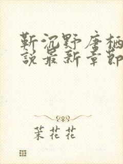 靳沉野唐栖雾小说最新章节