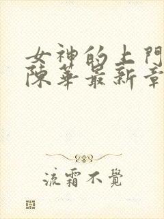 女神的上门狂婿陈华最新章节封面