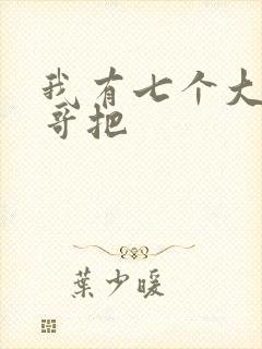 我有七个大佬哥哥把