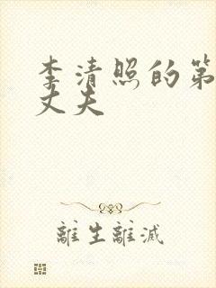 李清照的第二任丈夫