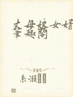 丈母娘女婿小说笔趣阁封面