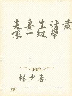 夫妻生活黄色录像一级带