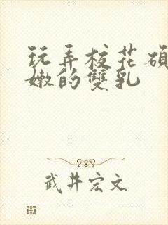 玩弄校花硕大白嫩的双乳