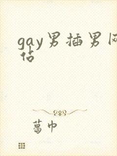 gay男插男网站