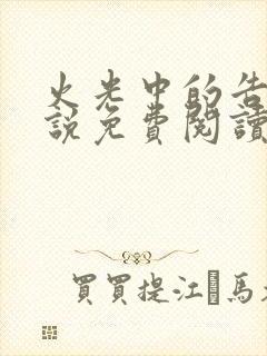 火光中的告白小说免费阅读