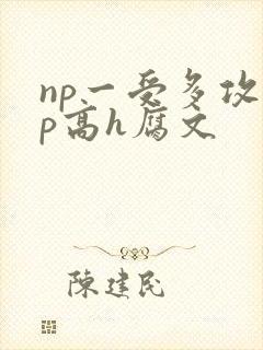 np一受多攻np高h腐文