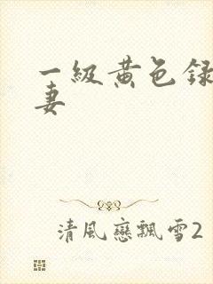 一级黄色录像夫妻