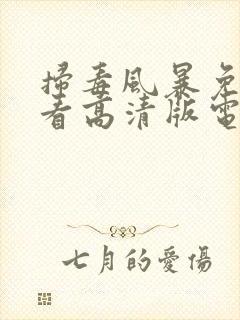 扫毒风暴免费观看高清版电影