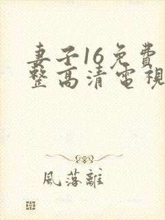 妻子16免费完整高清电视剧看