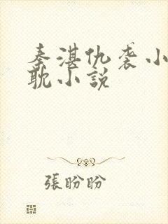 秦湛仇袭小妈原耽小说封面