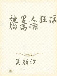 被男人狂揉吃奶胸高潮封面