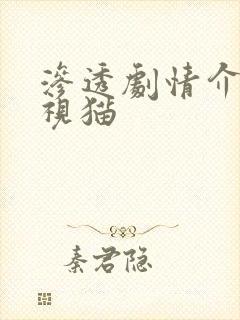 渗透剧情介绍电视猫