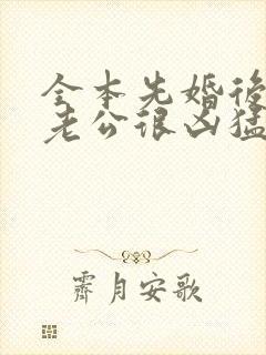 全本先婚后爱:老公很凶猛