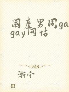 国产男同gaygay网站封面