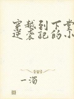 穿越到下堂王妃逆袭记的小说